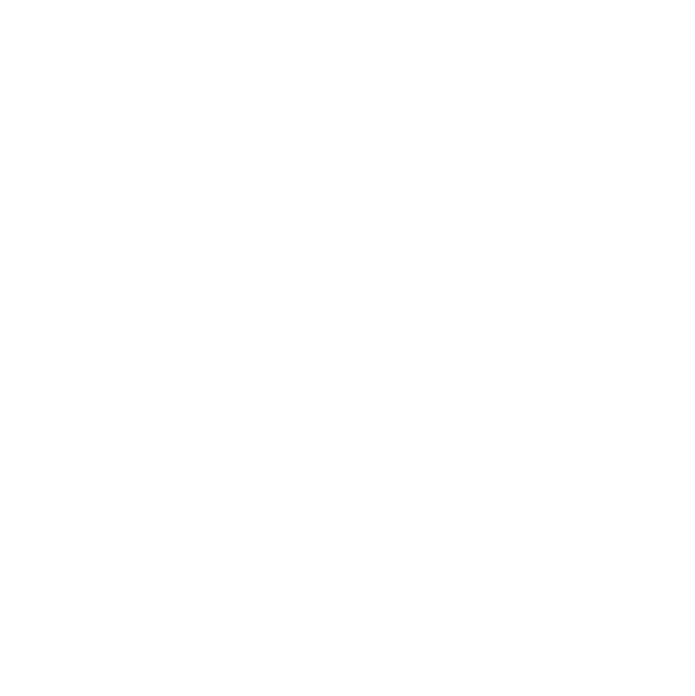 B1MG logo